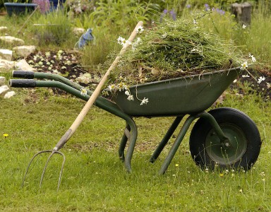 Harke frei für den Frühjahrsputz im Garten